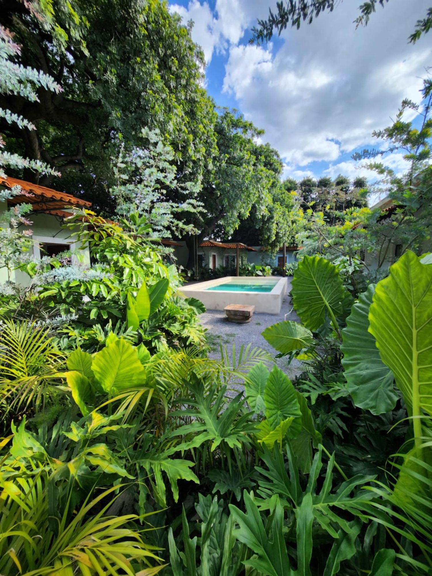 Hotel Boutique Villa Escondida, A Pasos De Lo Mejor En Tlaquepaque Buitenkant foto