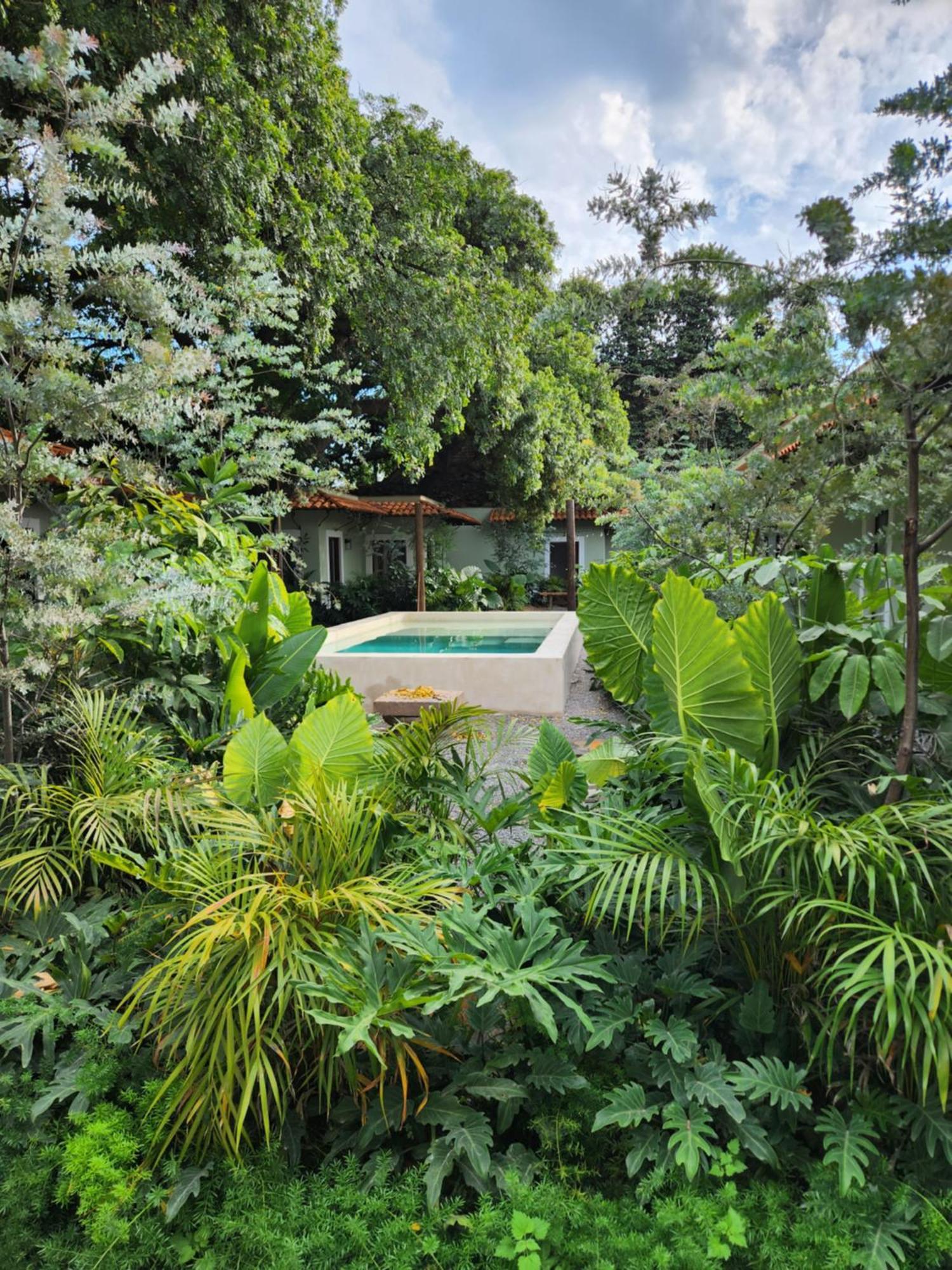 Hotel Boutique Villa Escondida, A Pasos De Lo Mejor En Tlaquepaque Buitenkant foto